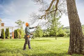 Best Tree Disease Treatment  in Morgandale, OH